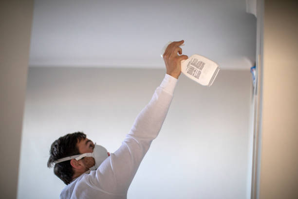 Best Toxic Mold Removal  in West Hills, PA
