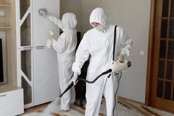 Mold Removal Process in West Hills, PA