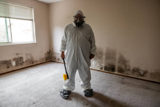 Best Crawl Space Mold Removal  in West Hills, PA